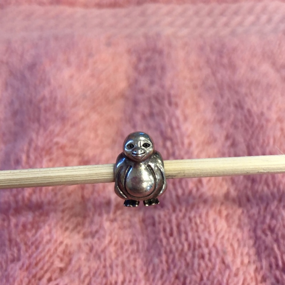 🎀🖤Retired Authentic Pandora Charm